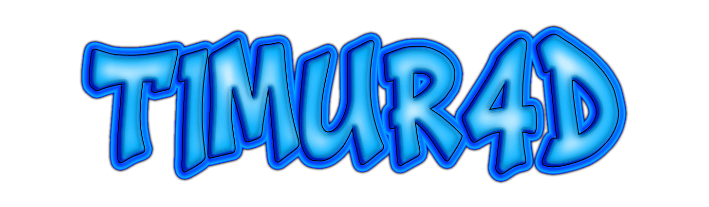 TIMUR4D Logo